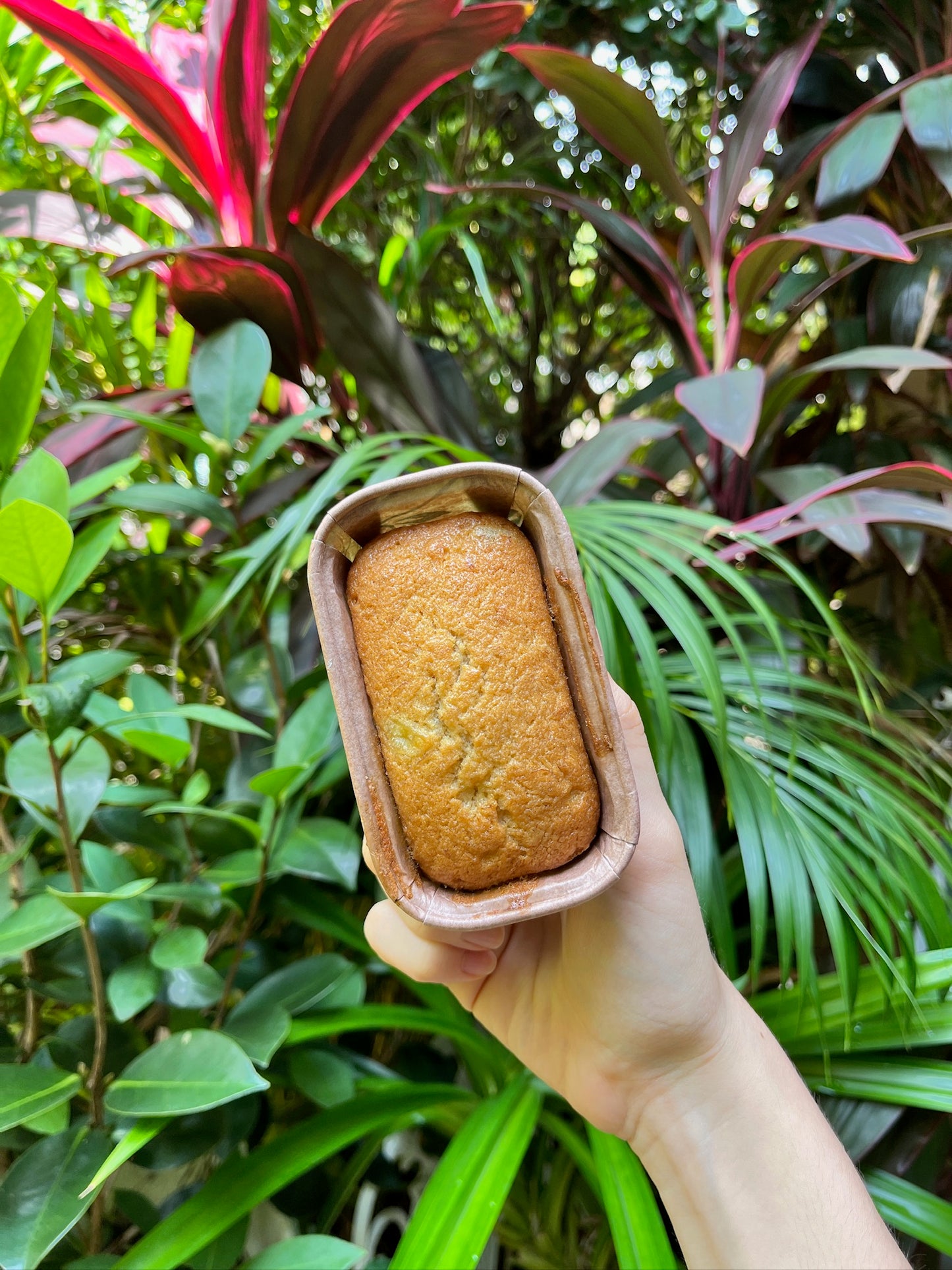 Banana Cake (with reduced sugar)