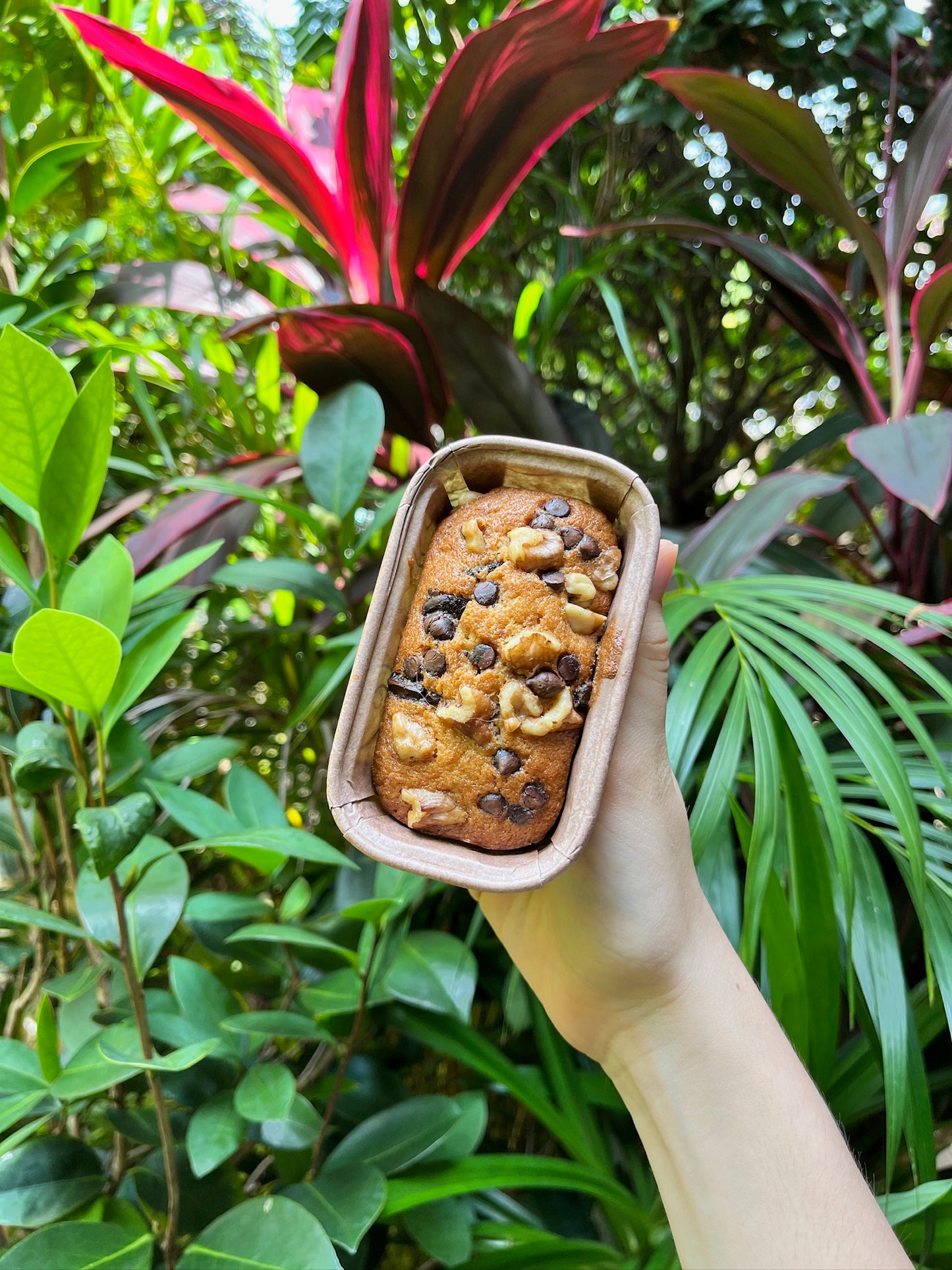 Banana Cake (with reduced sugar)