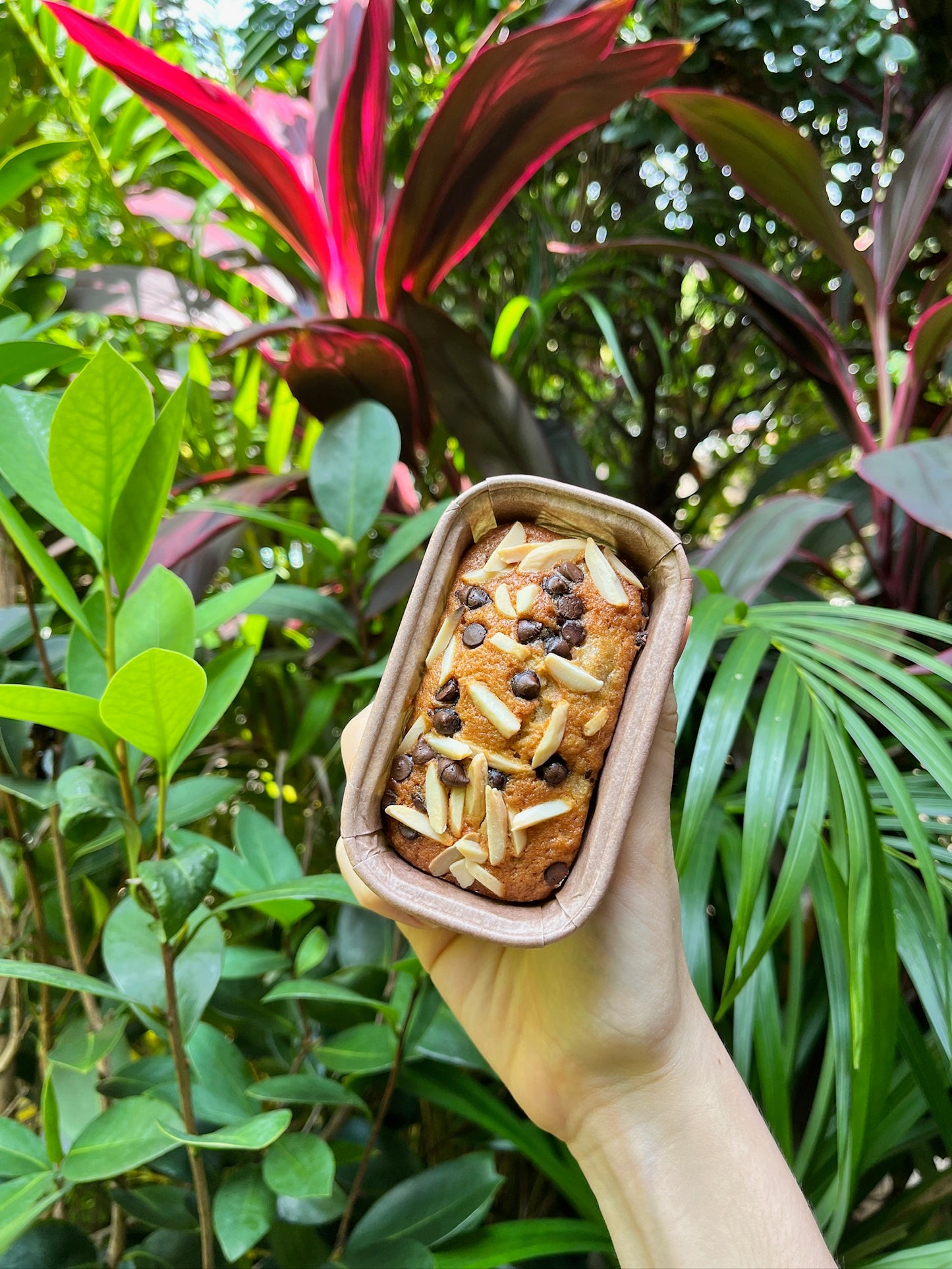 Banana Cake (with reduced sugar)