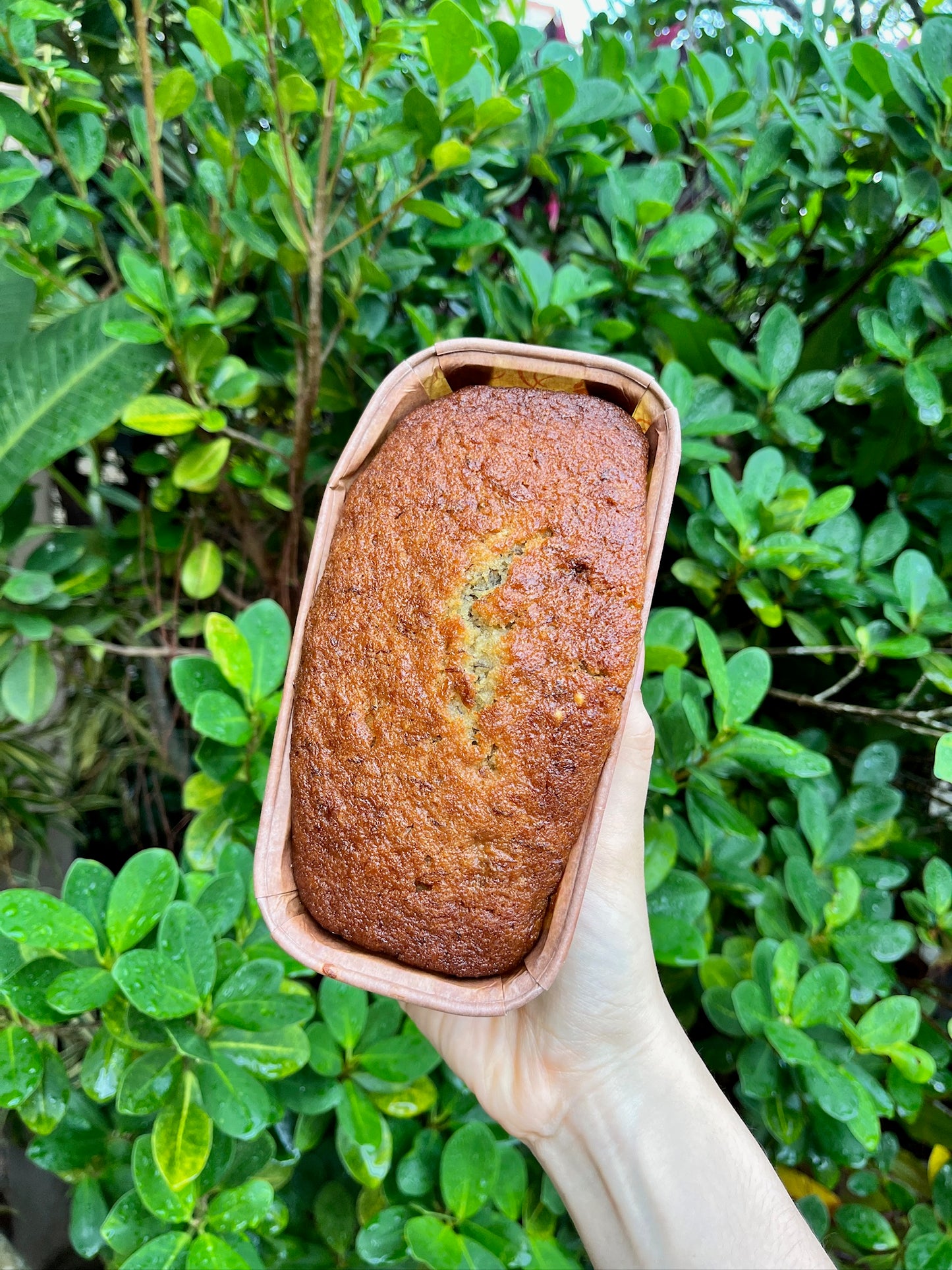 Banana Cake (with reduced sugar)