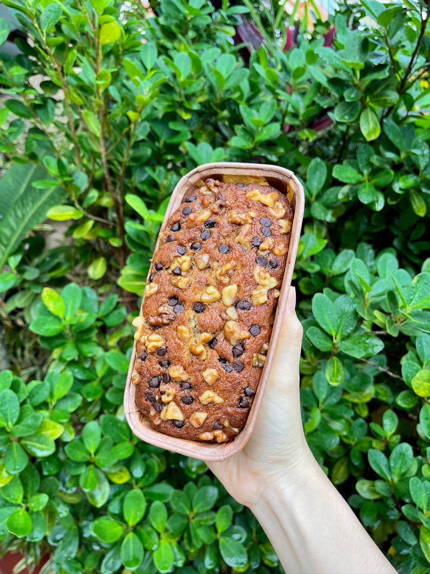 Banana Cake (with reduced sugar)