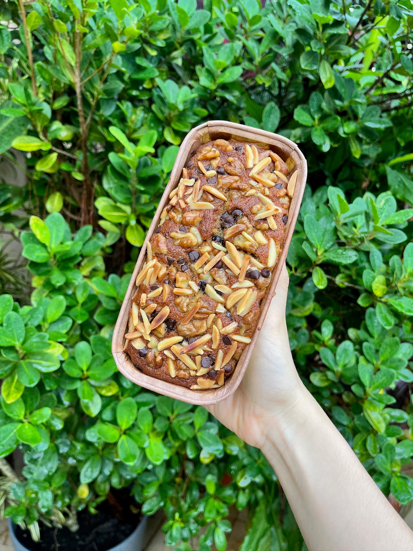 Banana Cake (with reduced sugar)