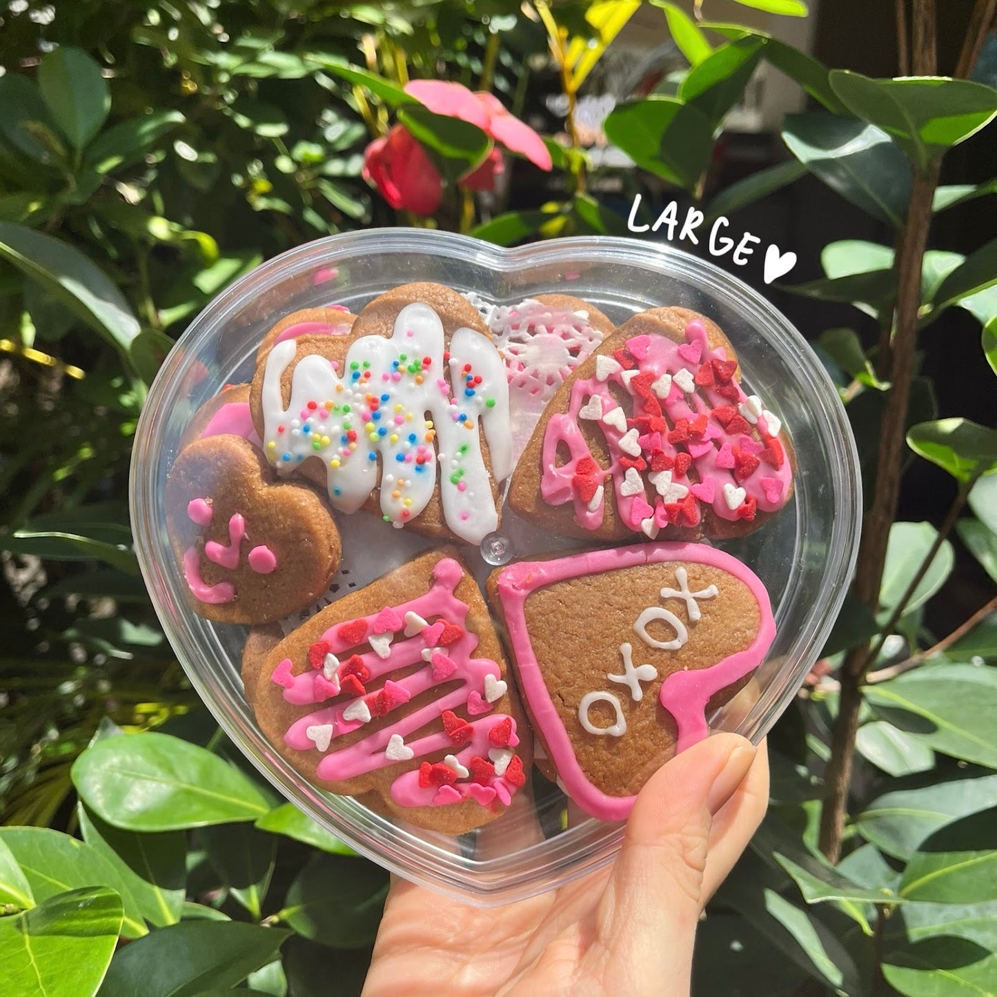 Gingerbread Cookie Bundle