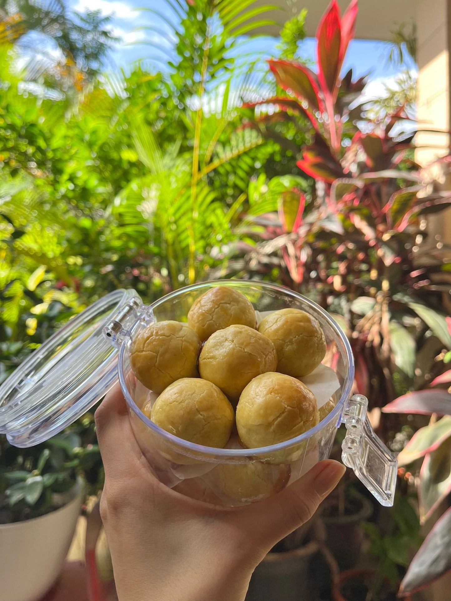 Artisanal XL Pineapple Golf Ball Tarts