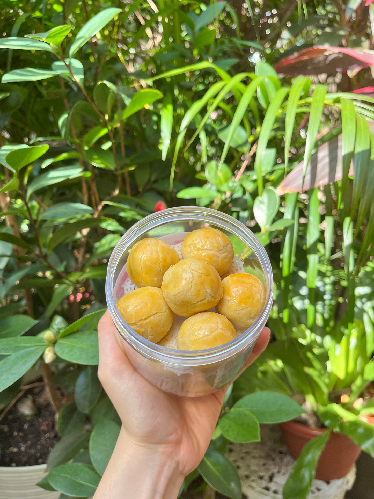 Perfect Bite-Sized Pineapple Tarts